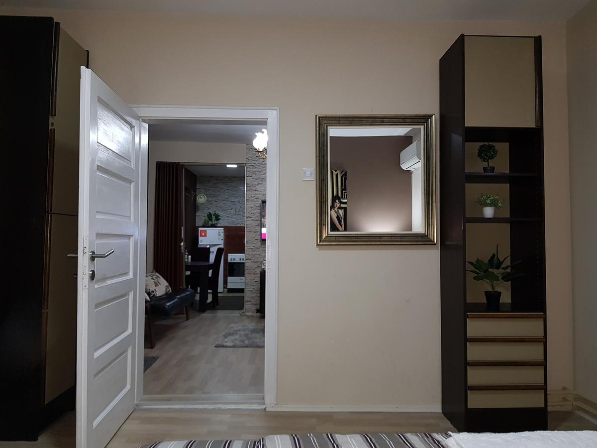 Apartments Cvetkovic Relax نيسكا بانجا المظهر الخارجي الصورة